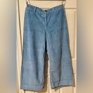Gently Worn Pilcro and the Letterpress Light Blue Corduroy Trousers